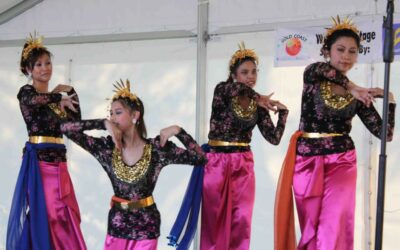 Worlds Unite at the Gold Coast Multicultural Festival!