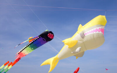 Gold Coast International Festival of Kites